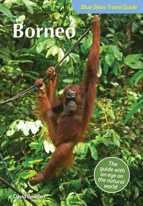 Blue Skies Guide to Borneo