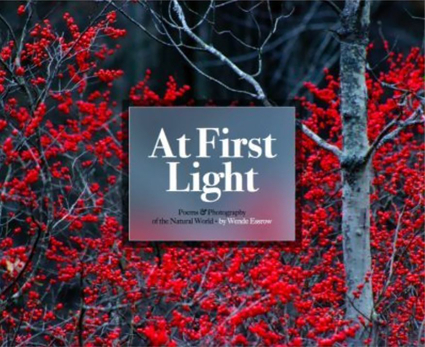 At First Light: