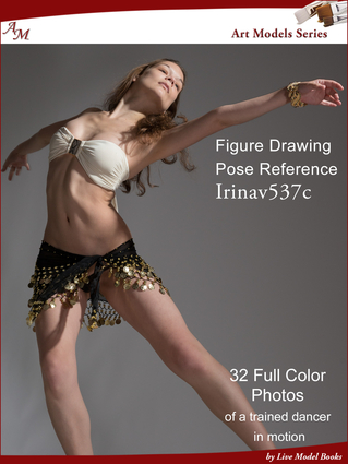 Group Pose References for Artists by Sarah Forde — Kickstarter