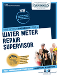 Water Meter Repair Supervisor (C-3012)