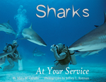 Sharks at Your Service