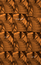 Propagation