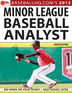 2013 Minor League Baseball Analyst
