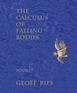 The Calculus of Falling Bodies