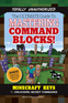The Ultimate Guide to Mastering Command Blocks! Image