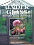 Growing Under Glass