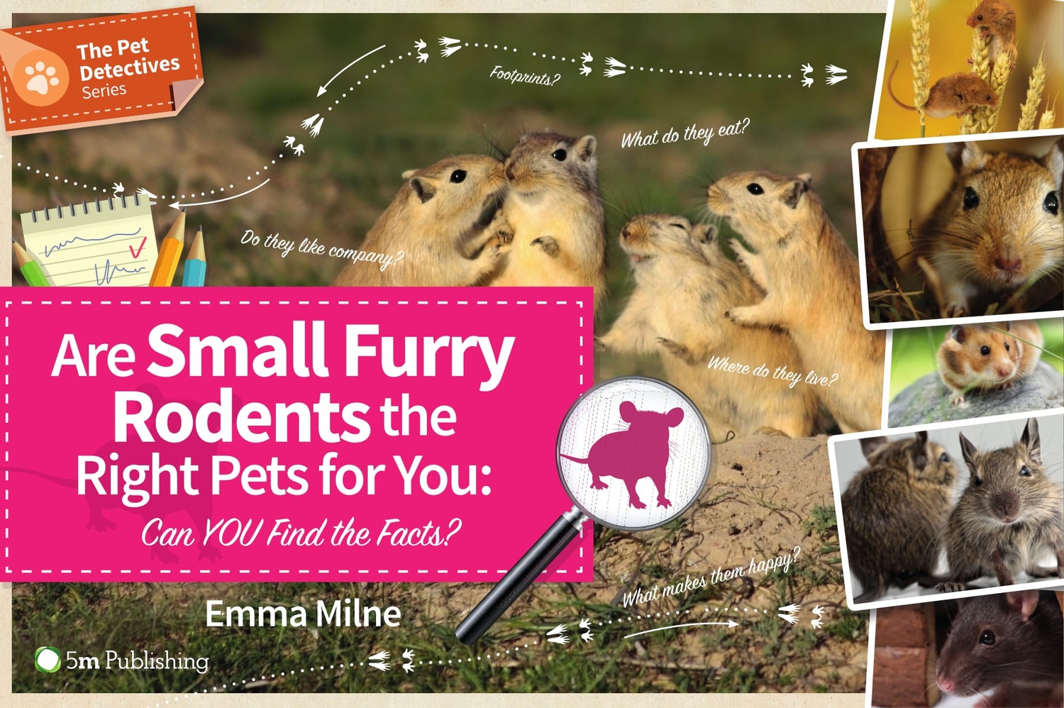 Are Small Furry Rodents the Right Pet for You