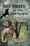 Brumbies in the Mountains