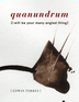 quanundrum [i will be your many angled thing]
